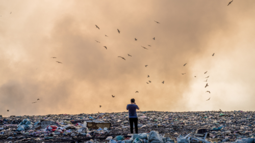 sustainable products reduce overflowing landfills